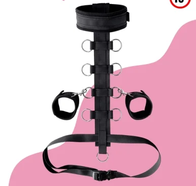 Passion Flirting Bdsm Kit V2 Bdsm-008